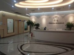 碧蓮盛植發(fā)真的有那么好嗎？手術注意事項是什么？