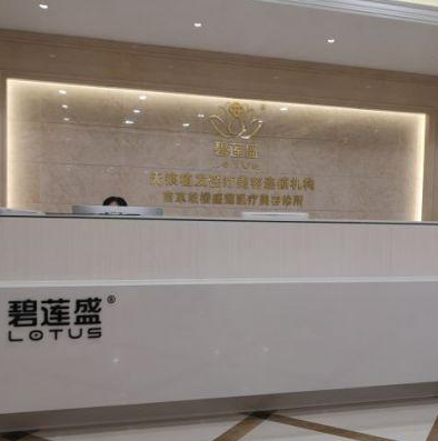 碧蓮盛醫(yī)院