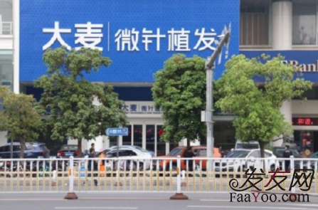 廈門大麥微針植發(fā)醫(yī)院