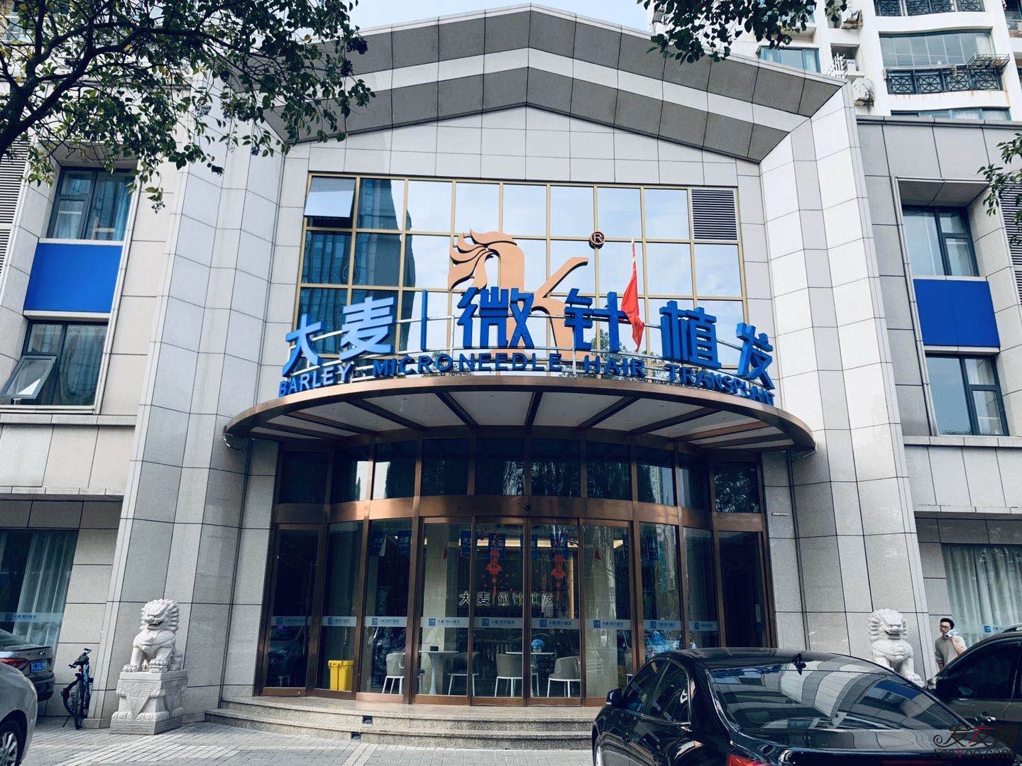 上海植發(fā)醫(yī)院怎么選？盤點下上海比較好的植發(fā)醫(yī)院！