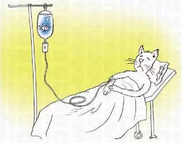 導(dǎo)致營養(yǎng)性脫發(fā)的原因