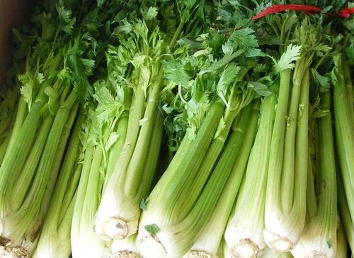  男性在飲食上怎么預(yù)防脫發(fā)