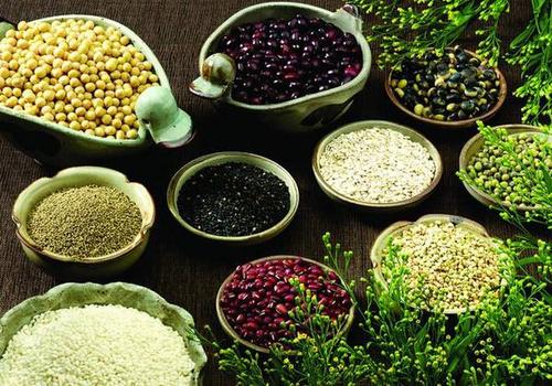 多吃什么可以防脫發(fā)