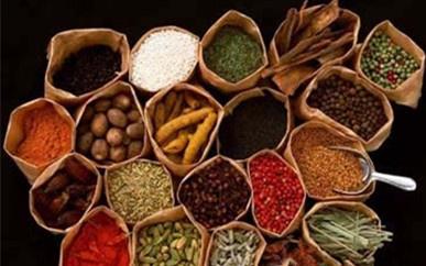 生發(fā)吃什么較好