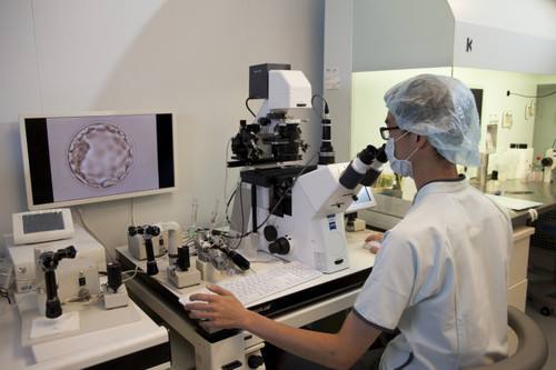 瑞麗詩的移植手術(shù)什么因素會影響到最終效果