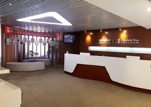 廣州瑞麗詩植發(fā)醫(yī)院：哪些人不適合做植發(fā)手術(shù)