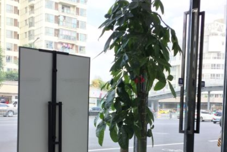 莆田新生植發(fā)醫(yī)院植發(fā)靠譜嗎?附醫(yī)院地址_眉毛種植效果