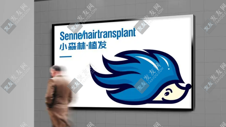 贛州小森林植發(fā)醫(yī)院